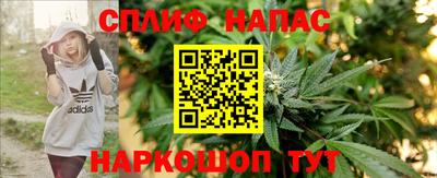 дмт Краснодар
