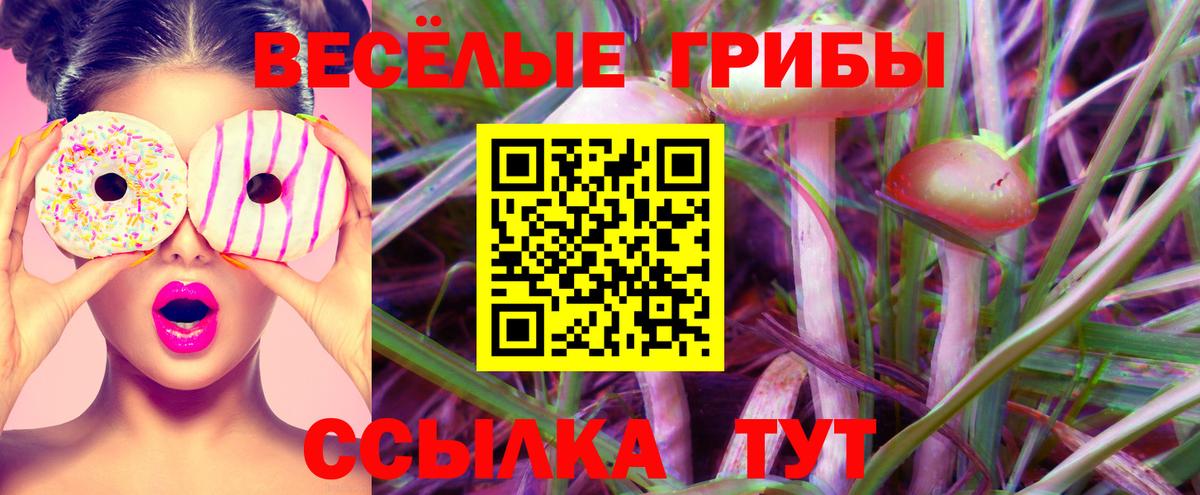 Галлюциногенные грибы Cubensis Котлас