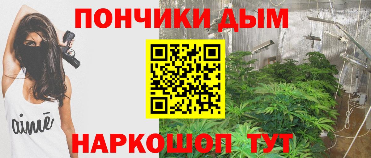 Марихуана SATIVA & INDICA Котлас